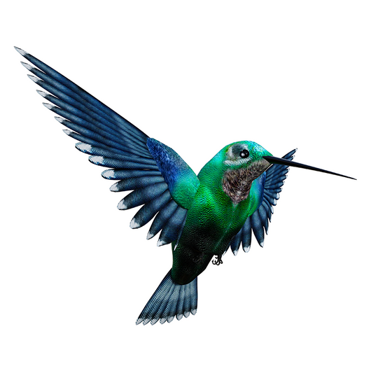 Hummingbird