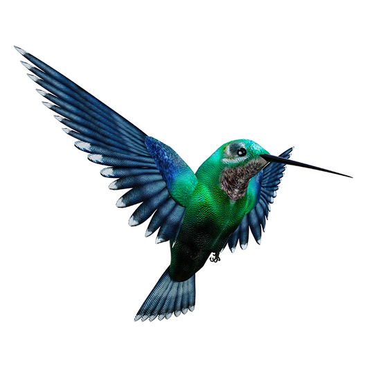 Hummingbird - Colibrí